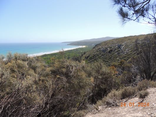 Bakers Beach from Archers Knob
